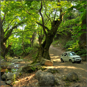 Offroad Driving on Thassos Island, Greece